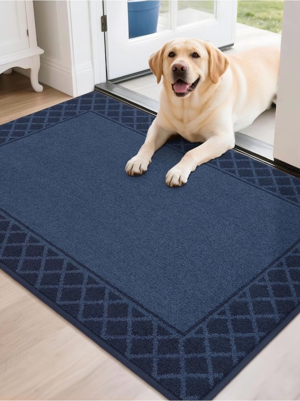 Navy Dog Door Mat - Pet-Friendly Entry Rug SET